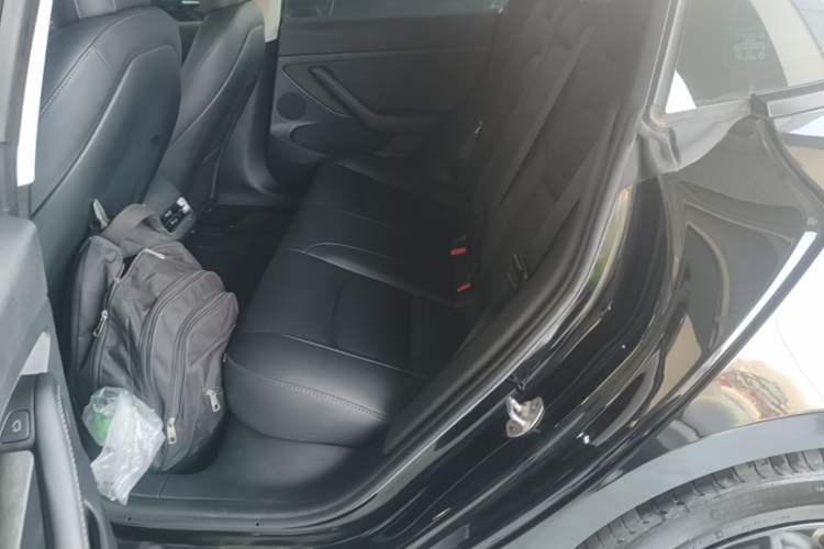 Used Tesla Model 3 2022 Rear-Wheel-Drive Version Left Rear Seat