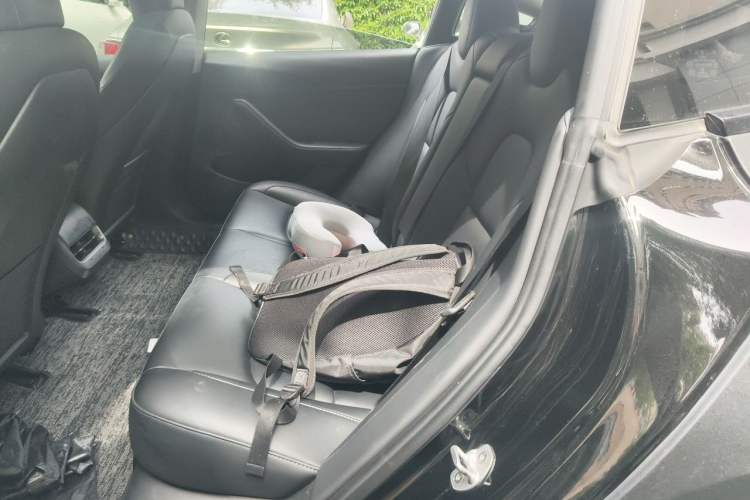 Used Tesla Model 3 2022 Rear-Wheel-Drive Version Left Rear Seat