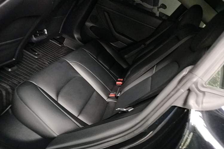 Used Tesla Model 3 2022 Rear-Wheel-Drive Version Left Rear Seat