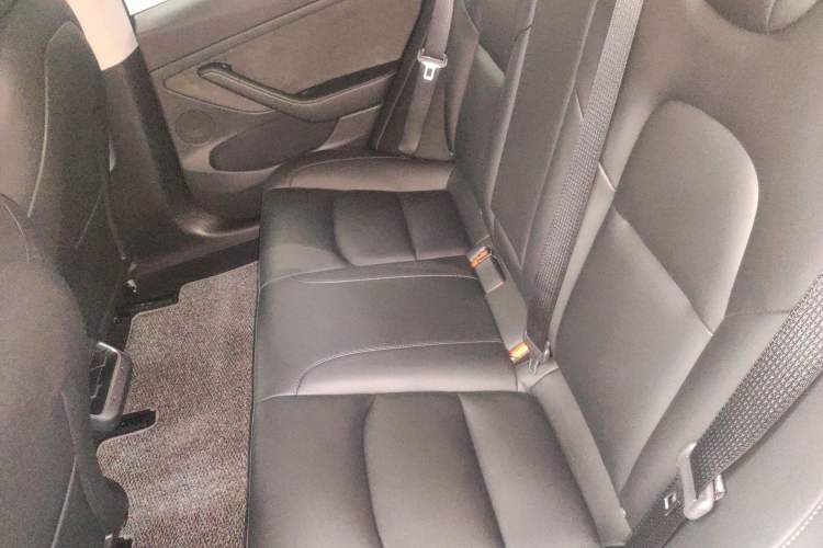 Used Tesla Model 3 2022 Rear-Wheel-Drive Version Left Rear Seat