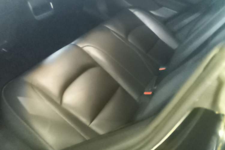 Used Tesla Model 3 2022 Rear-Wheel-Drive Version Left Rear Seat