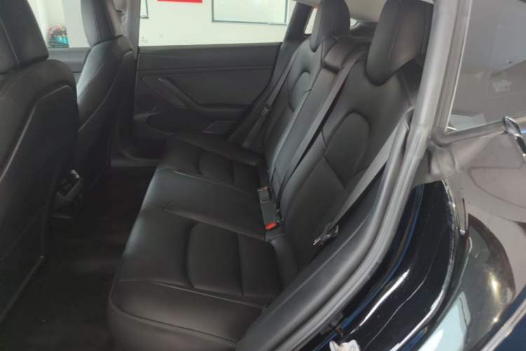 Used Tesla Model 3 2022 Rear-Wheel-Drive Version Left Rear Seat