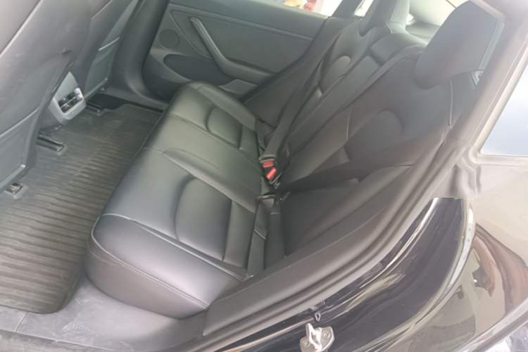 Used Tesla Model 3 2022 Rear-Wheel-Drive Version Left Rear Seat