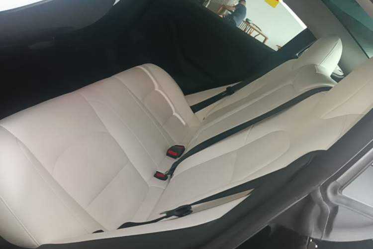 Used Tesla Model 3 2022 Rear-Wheel-Drive Version Left Rear Seat