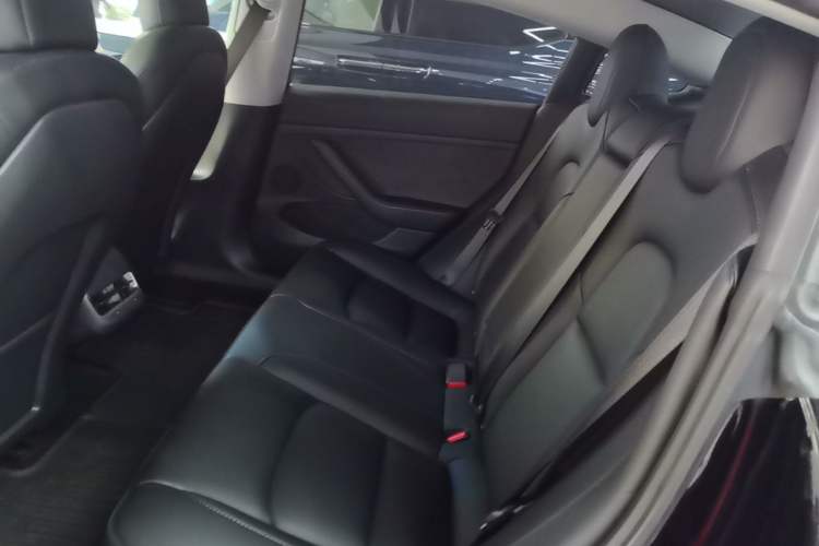 Used Tesla Model 3 2022 Performance High-Performance All-Wheel-Drive Version Left Rear Seat