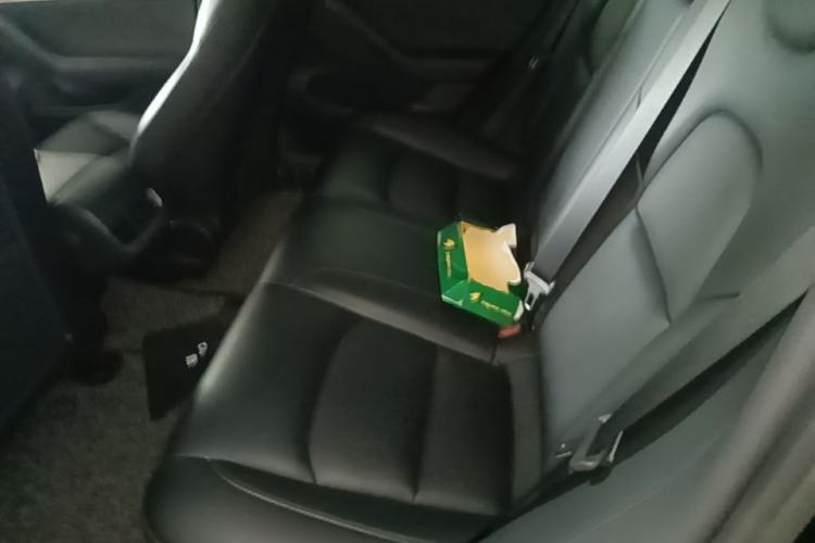 Used Tesla Model 3 2022 Rear-Wheel-Drive Version Left Rear Seat