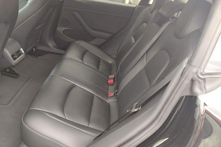 Used Tesla Model 3 2022 Rear-Wheel-Drive Version Left Rear Seat