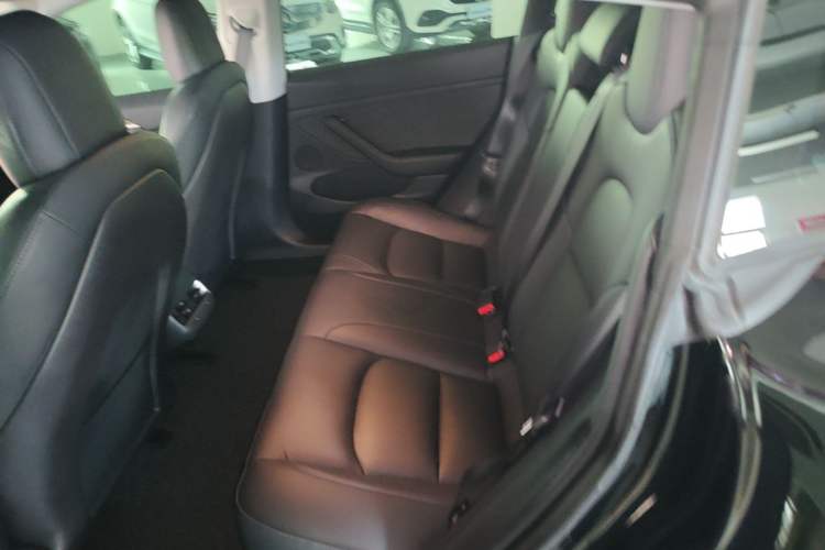 Used Tesla Model 3 2022 Rear-Wheel-Drive Version Left Rear Seat