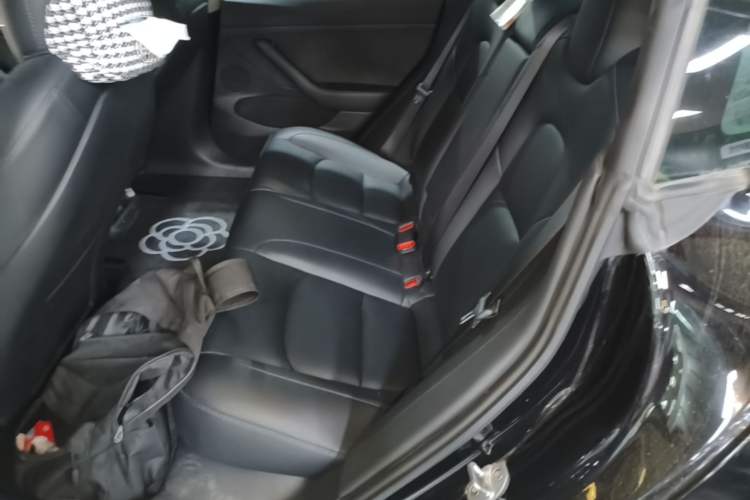 Used Tesla Model 3 2022 Rear-Wheel-Drive Version Left Rear Seat