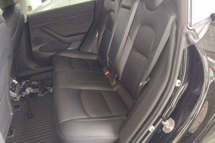 Used Tesla Model 3 2022 Rear-Wheel-Drive Version Left Rear Seat