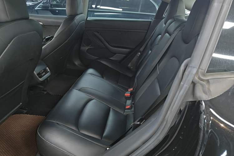 Used Tesla Model 3 2022 Rear-Wheel-Drive Version Left Rear Seat