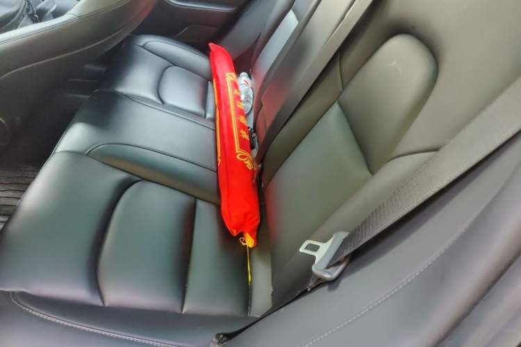 Used Tesla Model 3 2022 Rear-Wheel-Drive Version Left Rear Seat