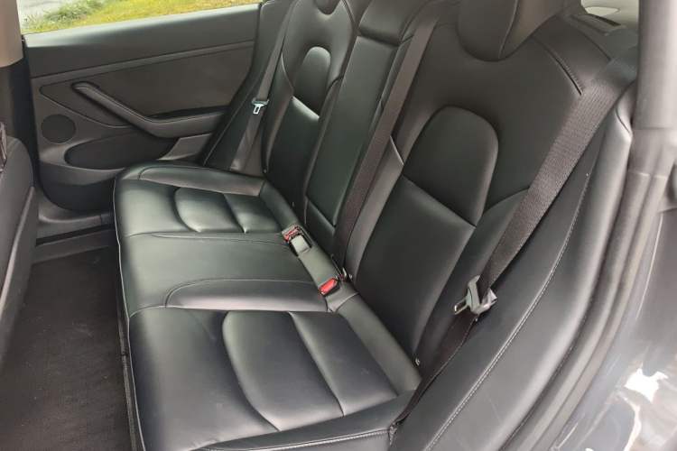 Used Tesla Model 3 2022 Rear-Wheel-Drive Version Left Rear Seat
