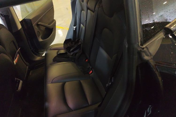 Used Tesla Model 3 2022 Rear-Wheel-Drive Version Left Rear Seat