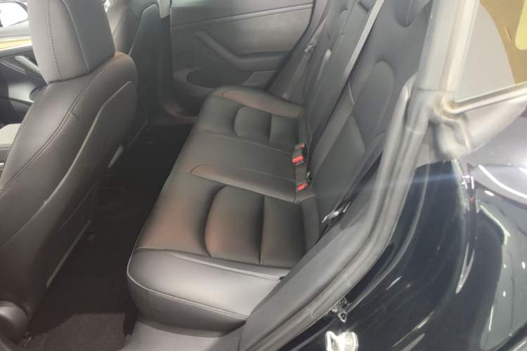 Used Tesla Model 3 2022 Rear-Wheel-Drive Version Left Rear Seat