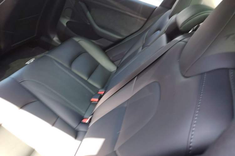 Used Tesla Model 3 2022 Rear-Wheel-Drive Version Left Rear Seat