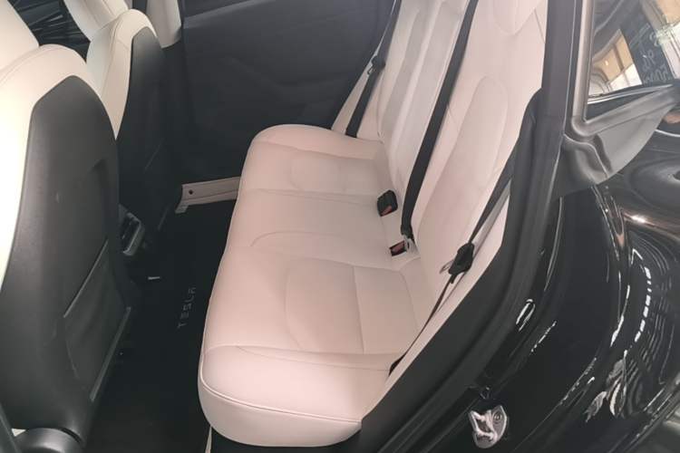 Used Tesla Model 3 2022 Rear-Wheel-Drive Version Left Rear Seat