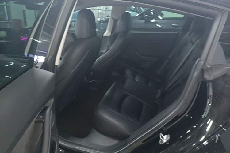 Used Tesla Model 3 2022 Rear-Wheel-Drive Version Left Rear Seat