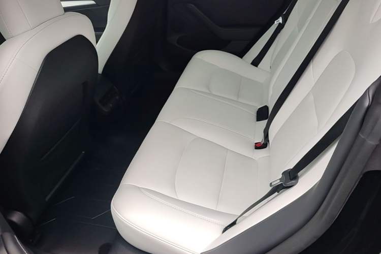 Used Tesla Model 3 2022 Rear-Wheel-Drive Version Left Rear Seat
