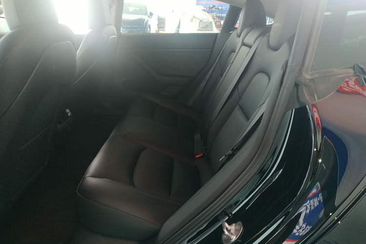 Used Tesla Model 3 2022 Rear-Wheel-Drive Version Left Rear Seat