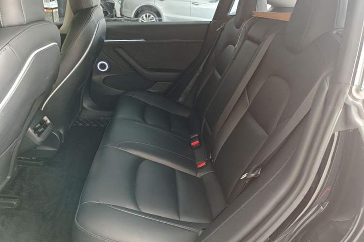 Used Tesla Model 3 2022 Rear-Wheel-Drive Version Left Rear Seat