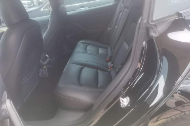Used Tesla Model 3 2022 Rear-Wheel-Drive Version Left Rear Seat