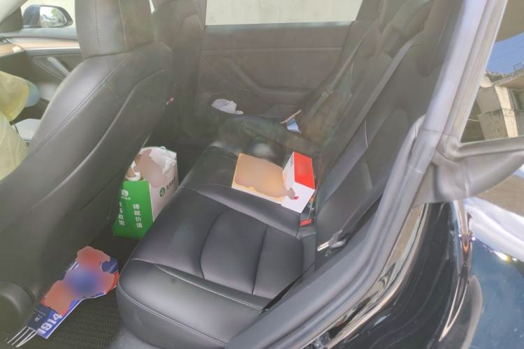 Used Tesla Model 3 2022 Rear-Wheel-Drive Version Left Rear Seat