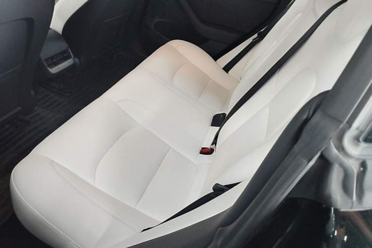 Used Tesla Model 3 2022 Rear-Wheel-Drive Version Left Rear Seat