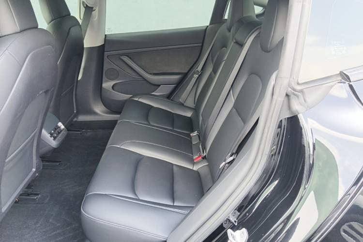 Used Tesla Model 3 2022 Rear-Wheel-Drive Version Left Rear Seat