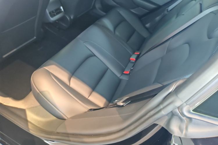 Used Tesla Model 3 2022 Performance High-Performance All-Wheel-Drive Version Left Rear Seat