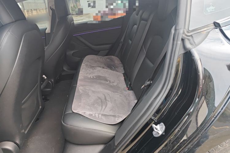 Used Tesla Model 3 2022 Rear-Wheel-Drive Version Left Rear Seat