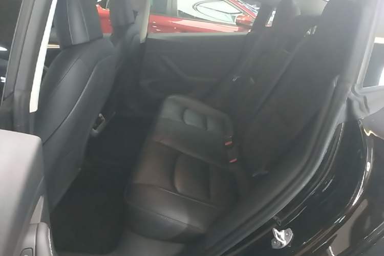 Used Tesla Model 3 2022 Rear-Wheel-Drive Version Left Rear Seat