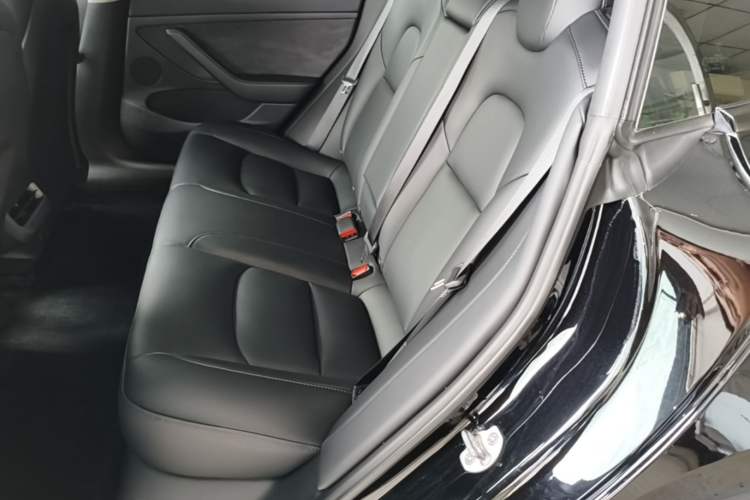 Used Tesla Model 3 2022 Rear-Wheel-Drive Version Left Rear Seat