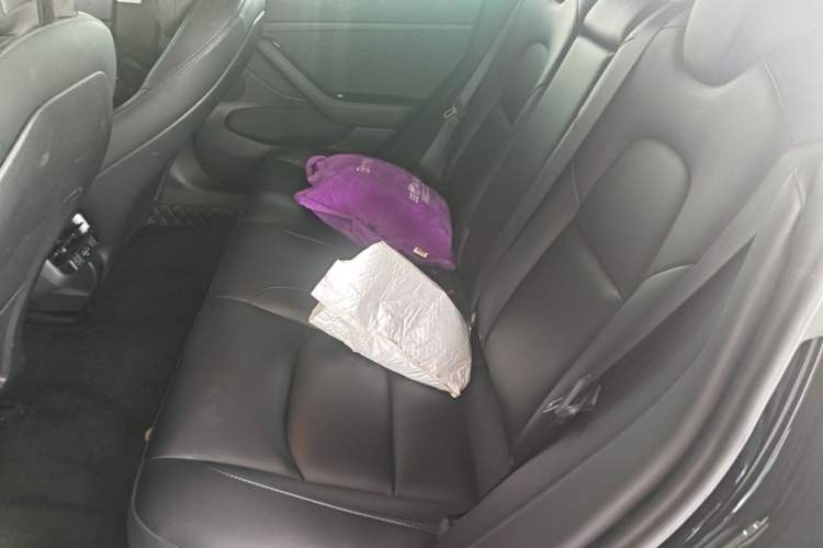 Used Tesla Model 3 2022 Rear-Wheel-Drive Version Left Rear Seat