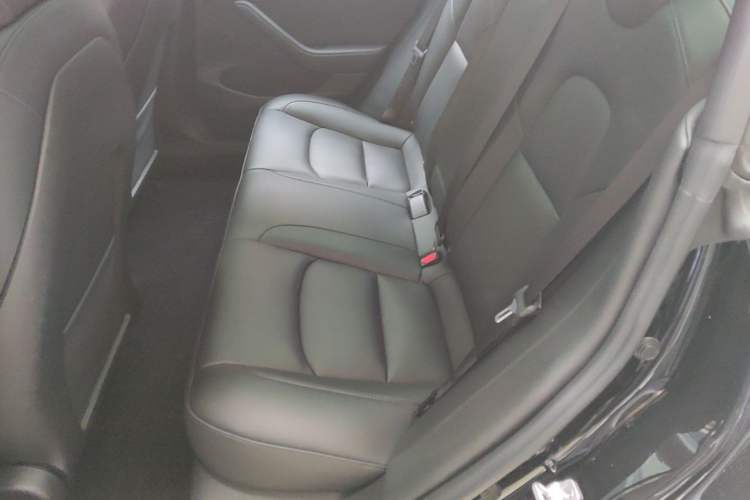 Used Tesla Model 3 2022 Rear-Wheel-Drive Version Left Rear Seat
