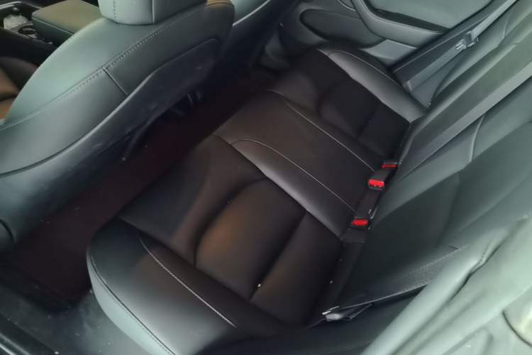 Used Tesla Model 3 2022 Rear-Wheel-Drive Version Left Rear Seat