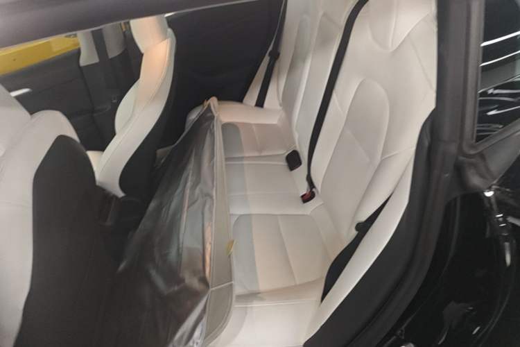 Used Tesla Model 3 2022 Performance High-Performance All-Wheel-Drive Version Left Rear Seat