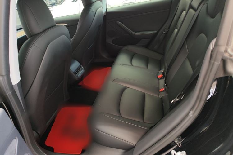 Used Tesla Model 3 2022 Rear-Wheel-Drive Version Left Rear Seat
