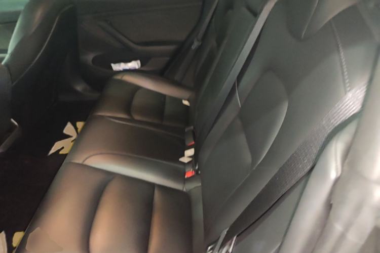 Used Tesla Model 3 2022 Rear-Wheel-Drive Version Left Rear Seat