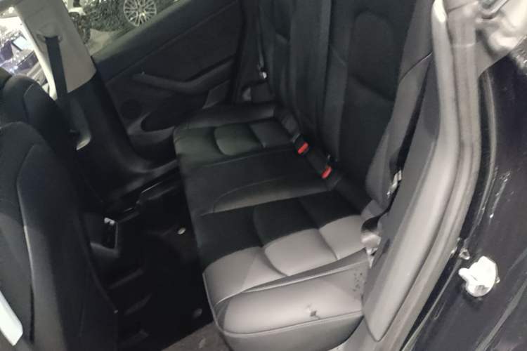 Used Tesla Model 3 2022 Rear-Wheel-Drive Version Left Rear Seat