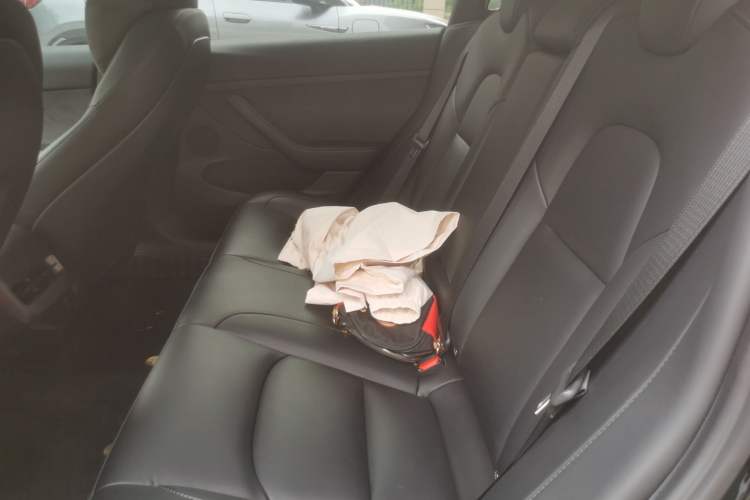 Used Tesla Model 3 2022 Rear-Wheel-Drive Version Left Rear Seat