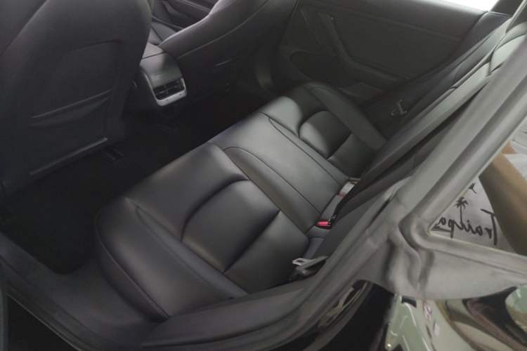 Used Tesla Model 3 2022 Rear-Wheel-Drive Version Left Rear Seat
