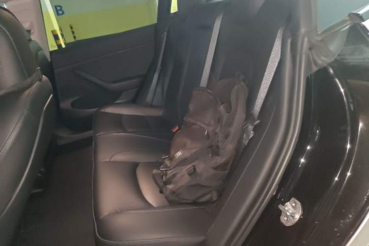 Used Tesla Model 3 2022 Rear-Wheel-Drive Version Left Rear Seat