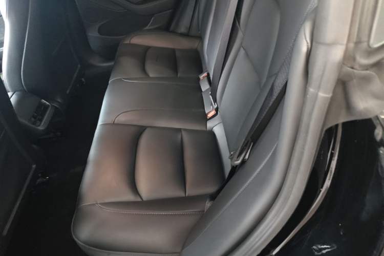 Used Tesla Model 3 2022 Performance High-Performance All-Wheel-Drive Version Left Rear Seat