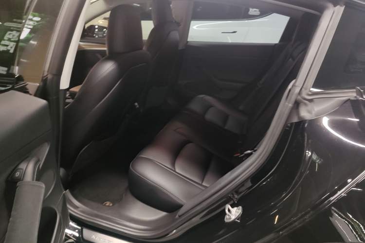 Used Tesla Model 3 2022 Performance High-Performance All-Wheel-Drive Version Left Rear Seat