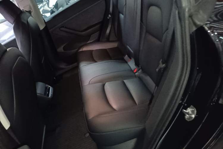 Used Tesla Model 3 2022 Performance High-Performance All-Wheel-Drive Version Left Rear Seat