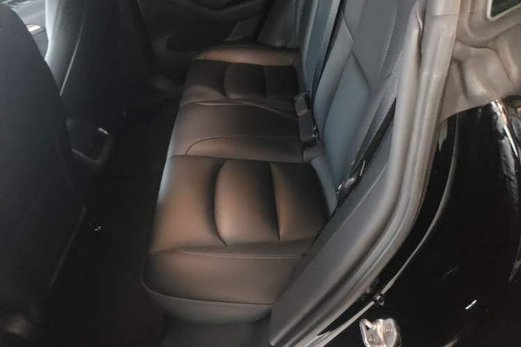 Used Tesla Model 3 2022 Rear-Wheel-Drive Version Left Rear Seat