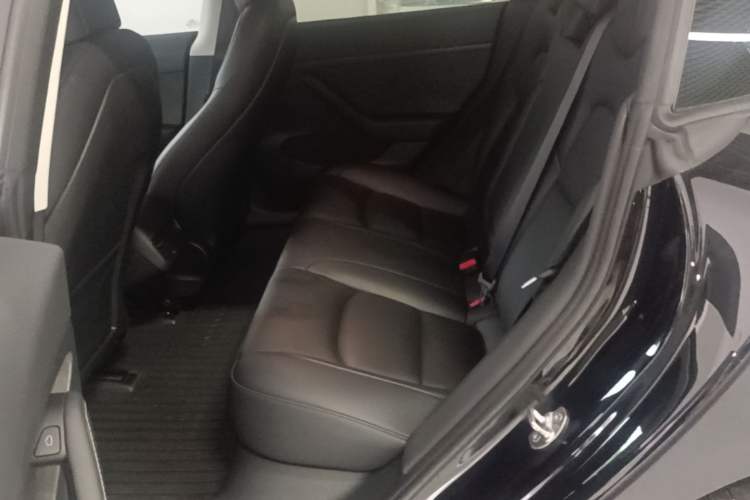 Used Tesla Model 3 2022 Rear-Wheel-Drive Version Left Rear Seat
