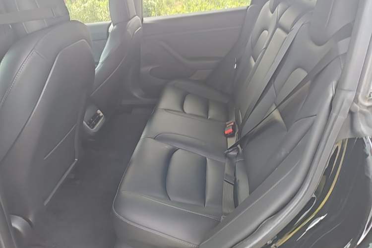 Used Tesla Model 3 2022 Rear-Wheel-Drive Version Left Rear Seat