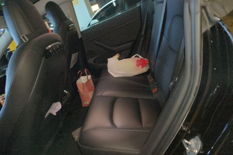 Used Tesla Model 3 2022 Rear-Wheel-Drive Version Left Rear Seat
